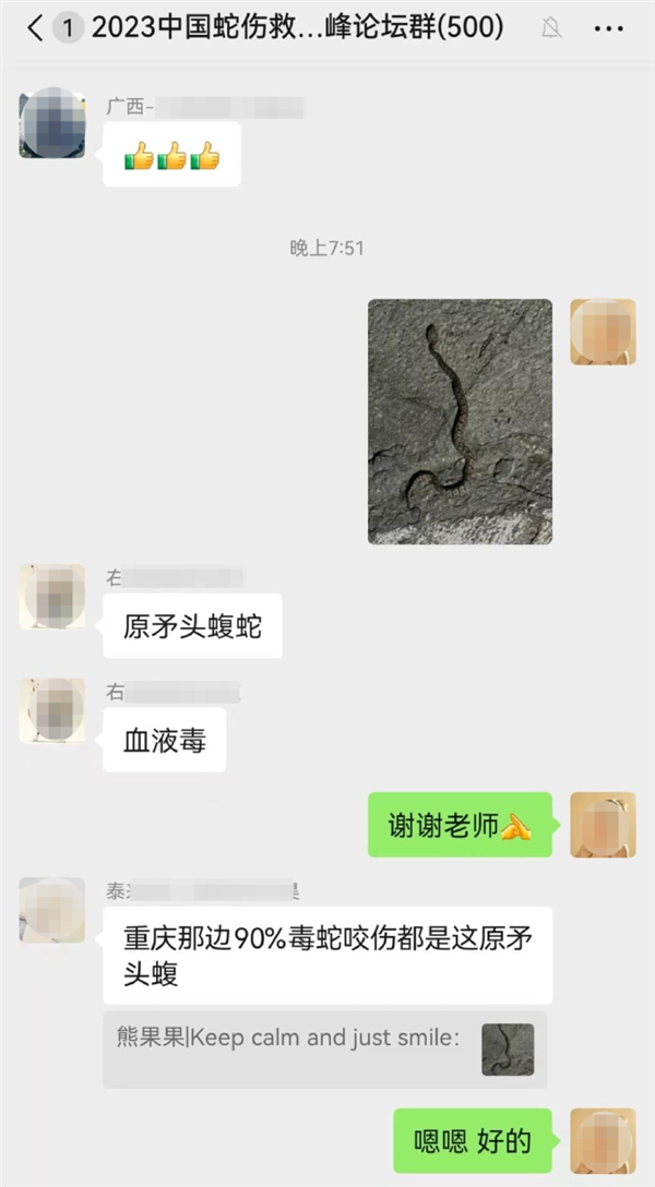 男子被毒蛇咬伤 女友教科书级应对:第一时间拿起手机拍照 女友教科书级应对 第2张 男子被毒蛇咬伤 女友教科书级应对:第一时间拿起手机拍照 女友教科书级应对 第2张
