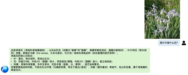 腾讯混元视觉模型跻身全球Top 3 国内排名第1 腾讯混元视觉模型 第2张