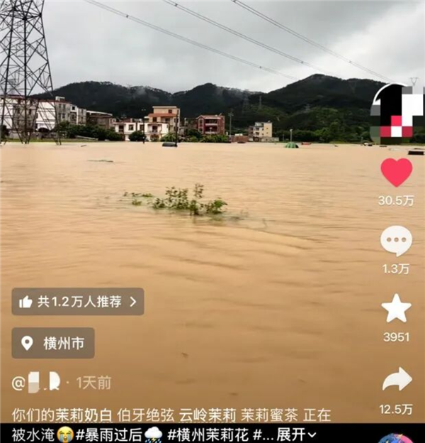 中国茉莉之乡遭遇洪灾 瑞幸蜜雪多家品牌驰援 当地花农:基本已无法采摘 茉莉之乡 第1张 中国茉莉之乡遭遇洪灾 瑞幸蜜雪多家品牌驰援 当地花农:基本已无法采摘 茉莉之乡 第1张