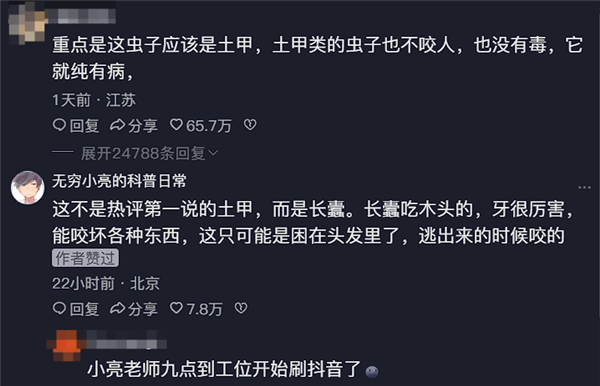 女子睡觉时被虫咬断一大把头发 专业人士科普揭秘“凶手”身份 第4张 女子睡觉时被虫咬断一大把头发 专业人士科普揭秘“凶手”身份 第4张
