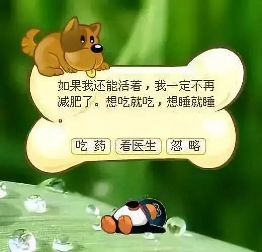 腾讯偷偷复活了QQ宠物 但它再也不会死了 QQ宠物 第8张 腾讯偷偷复活了QQ宠物 但它再也不会死了 QQ宠物 第8张