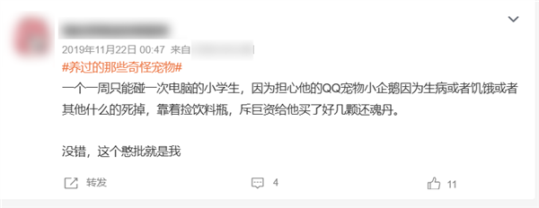 腾讯偷偷复活了QQ宠物 但它再也不会死了 QQ宠物 第17张 腾讯偷偷复活了QQ宠物 但它再也不会死了 QQ宠物 第17张