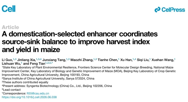 中国科学家找到玉米增产开关登《细胞》 多地试验稳定增产超10% 玉米增产 细胞 第2张 中国科学家找到玉米增产开关登《细胞》 多地试验稳定增产超10% 玉米增产 细胞 第2张