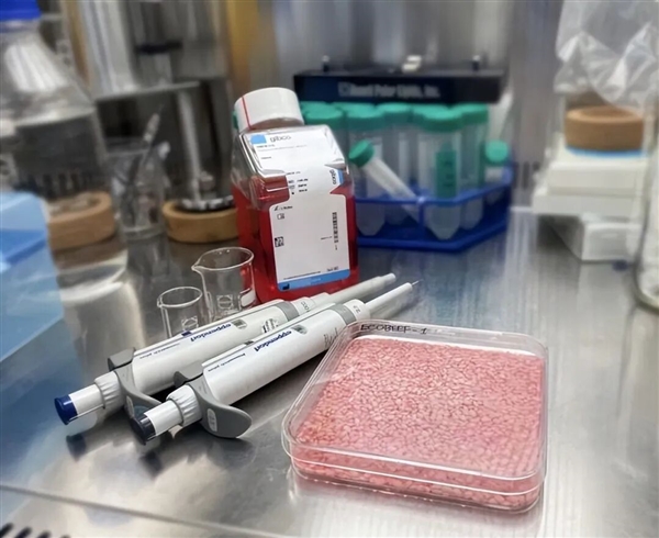 科学家首次种出带有肉味的菜:但你可能还尝不出来 带有肉味的菜 第5张 科学家首次种出带有肉味的菜:但你可能还尝不出来 带有肉味的菜 第5张