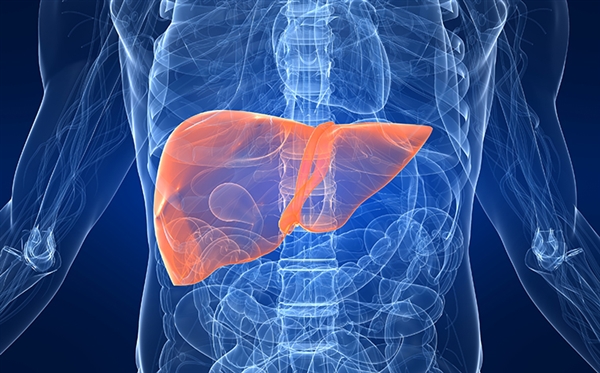 医生:七成肝癌早期没症状 肝癌 第1张 医生:七成肝癌早期没症状 肝癌 第1张